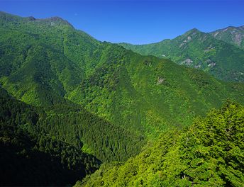 1994