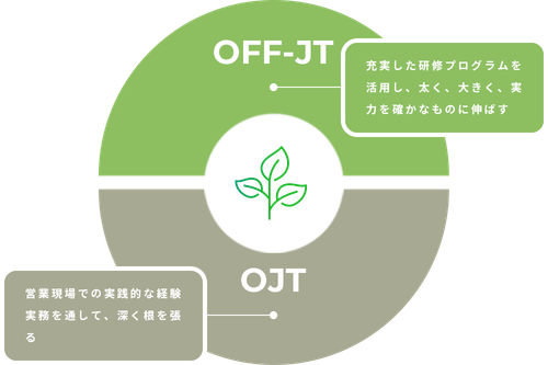 OFF-JTとOJTの相互効果による成長